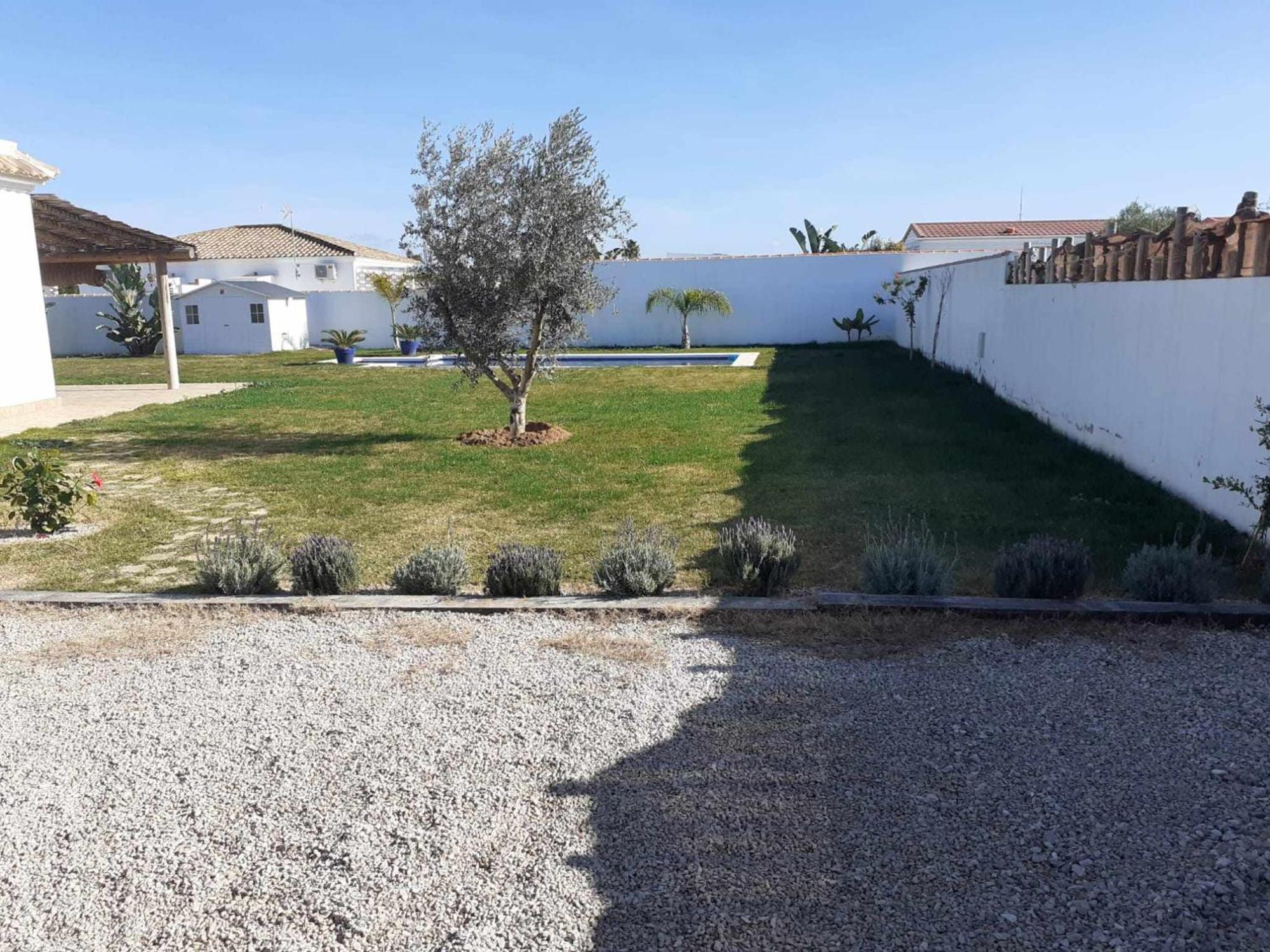 Las Casitas De La Barrosa Con Jardin Y Piscina 치클라나 데 라 프론테라 객실 사진